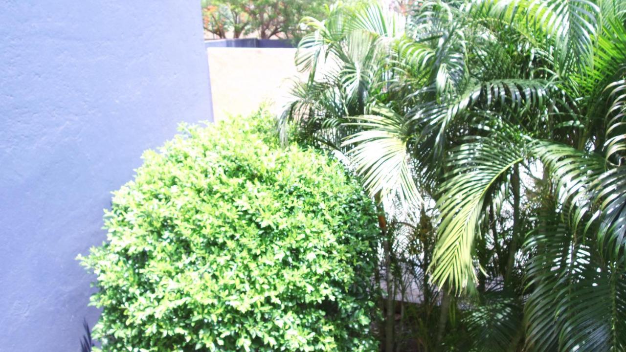 Hotel Calli Santo Domingo Tehuantepec Exterior photo